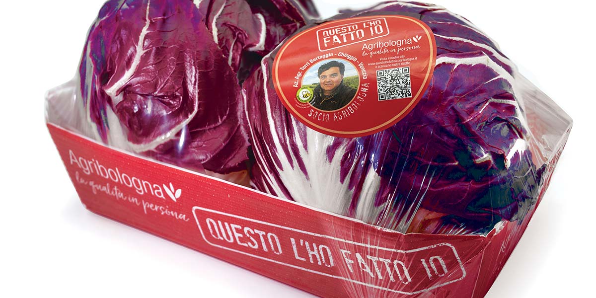 Radicchi, la stagione prosegue con volumi ridotti